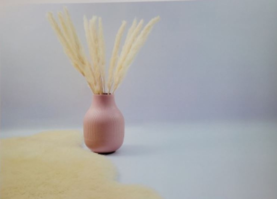 OBRAZ v bílém rámečku DMB 3343 tráva- pink váza